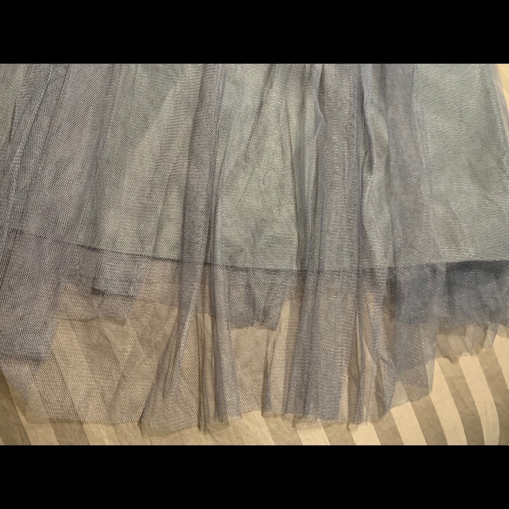 Floor length tulle skirt.  Jenny Yoo. Size 4. - Picture 7 of 8